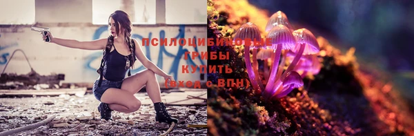 прущие грибы Балахна