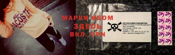 прущие грибы Балахна