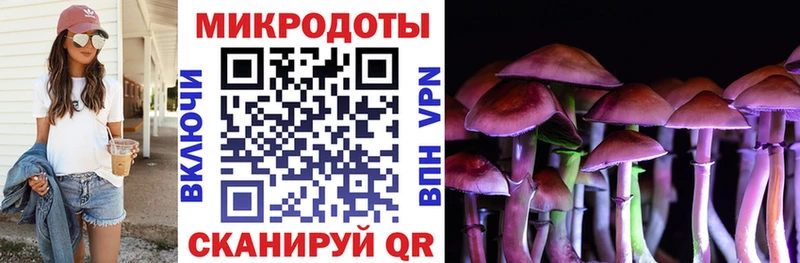 Галлюциногенные грибы Psilocybine cubensis  Бор 