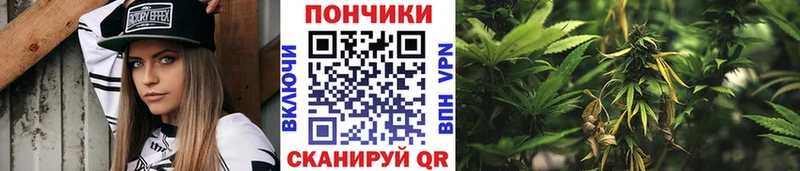 Шишки марихуана план Бор