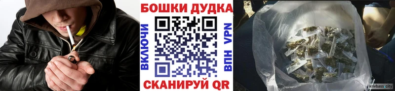 Канабис сатива  сколько стоит  Бор 